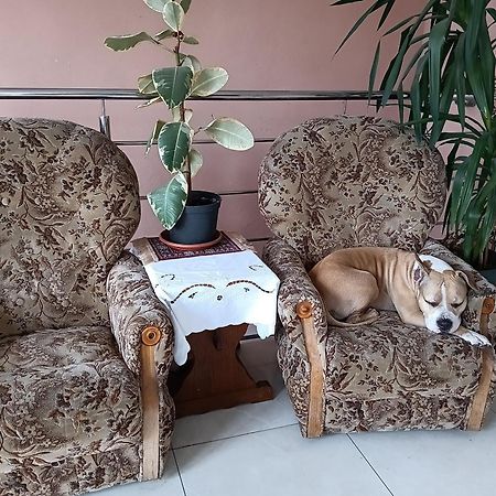 Noclegi Centrum Jelenia Góra Екстериор снимка