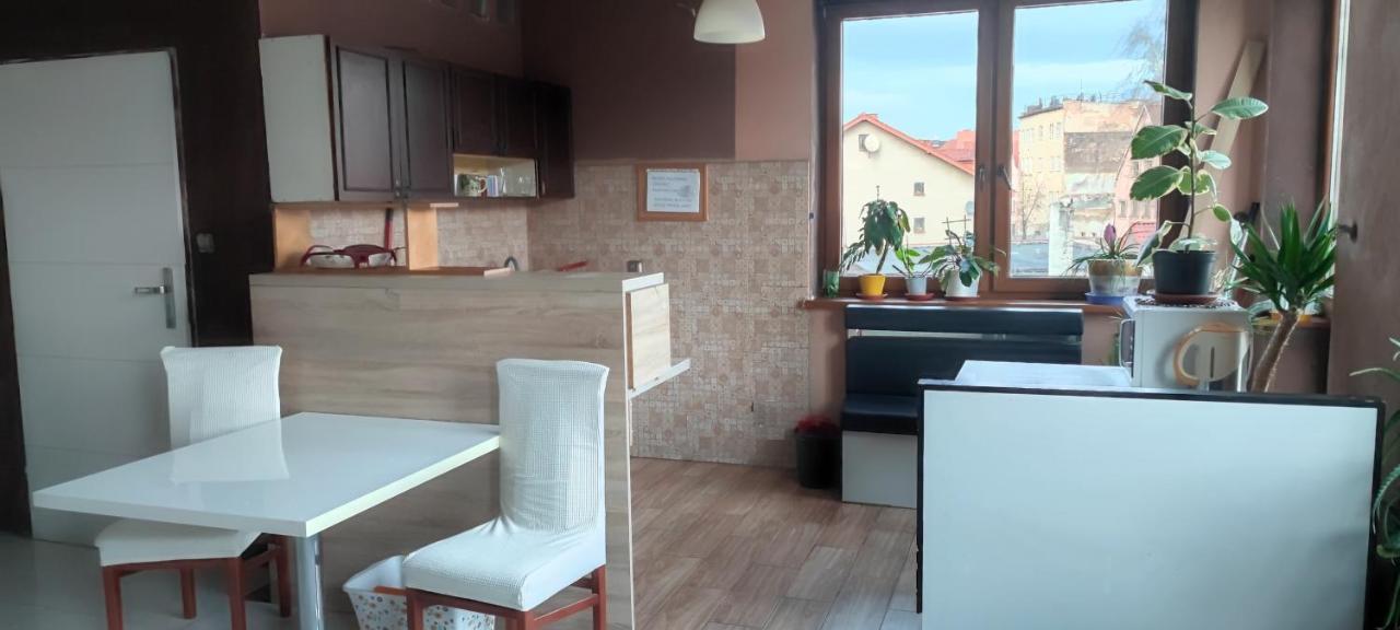 Noclegi Centrum Jelenia Góra Екстериор снимка