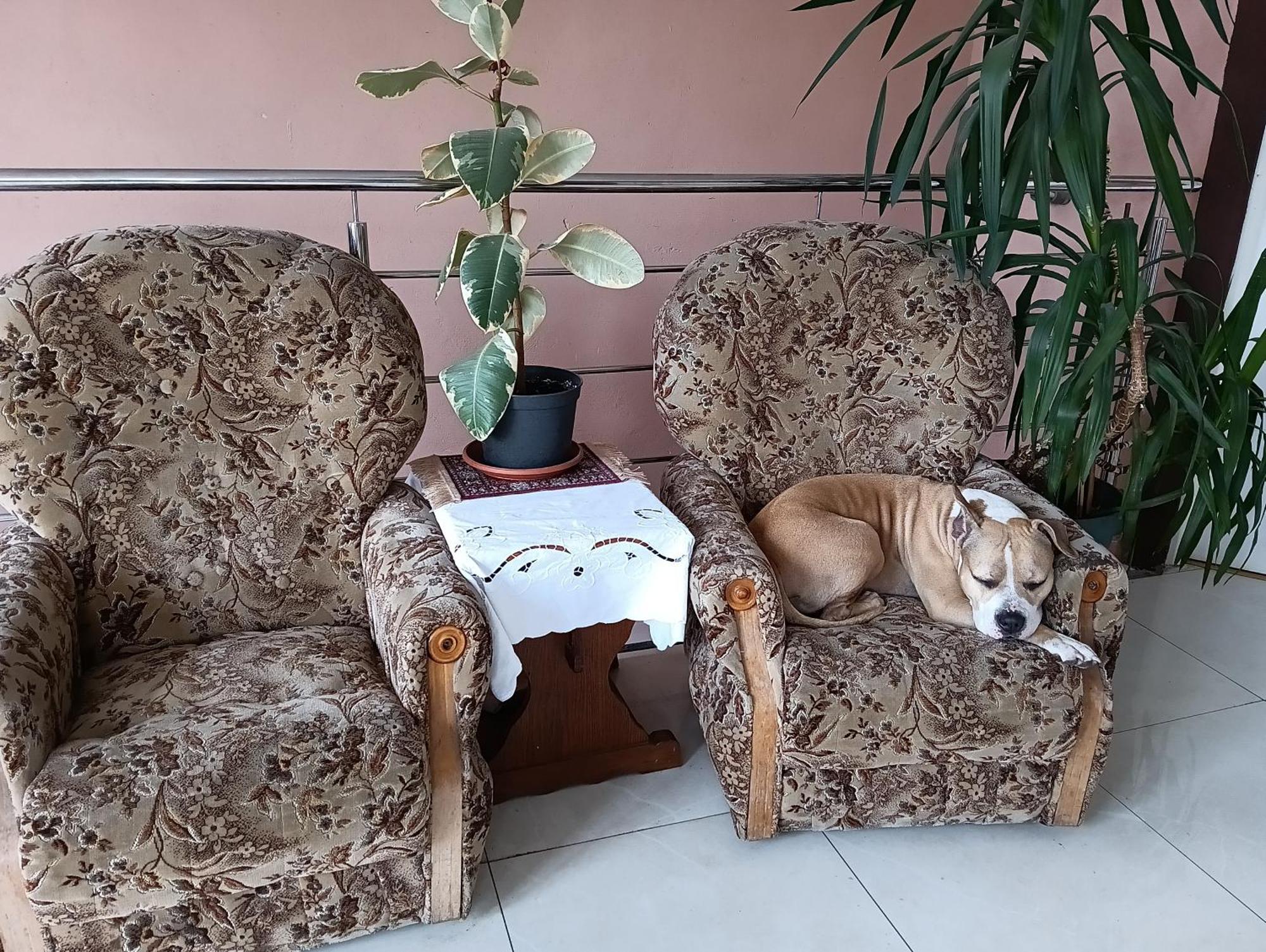 Noclegi Centrum Jelenia Góra Екстериор снимка